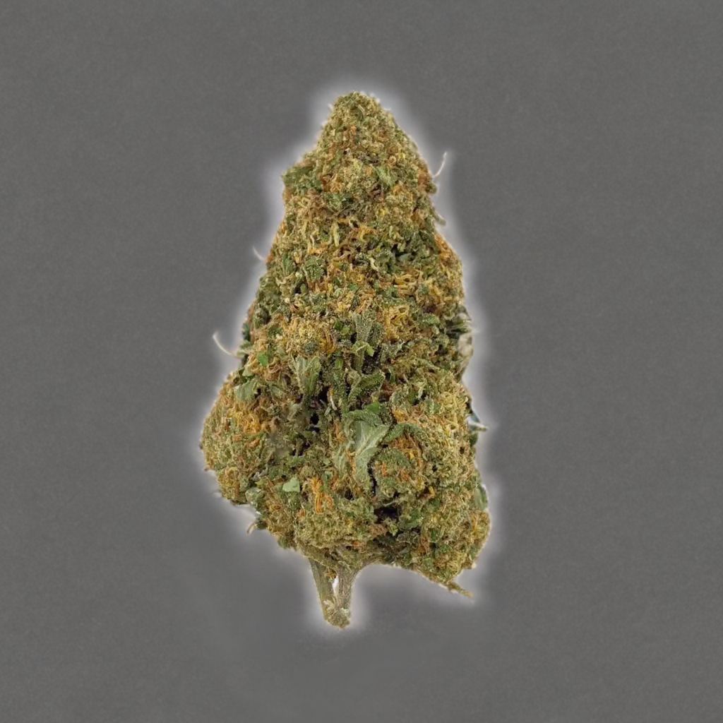 Fleur de CBD : Jack Herer