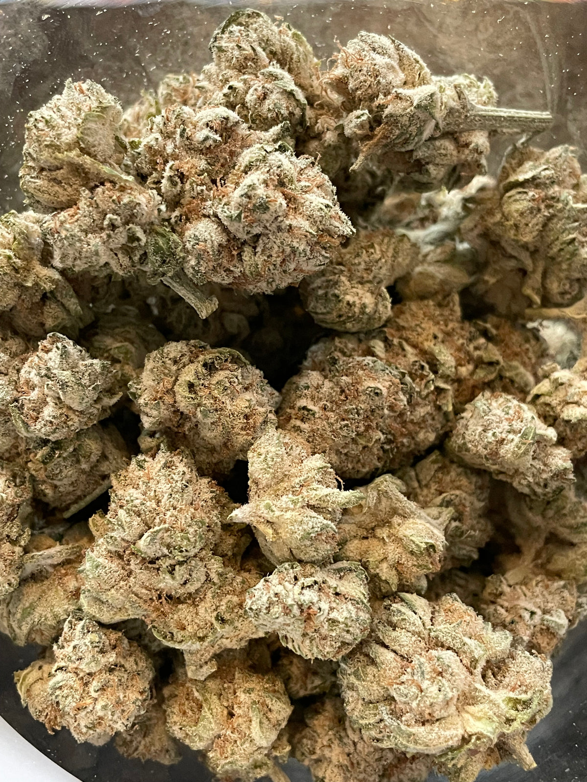 Cosmic Haze CBC, fleur de CBD intense au profil agrumes et notes fruitées