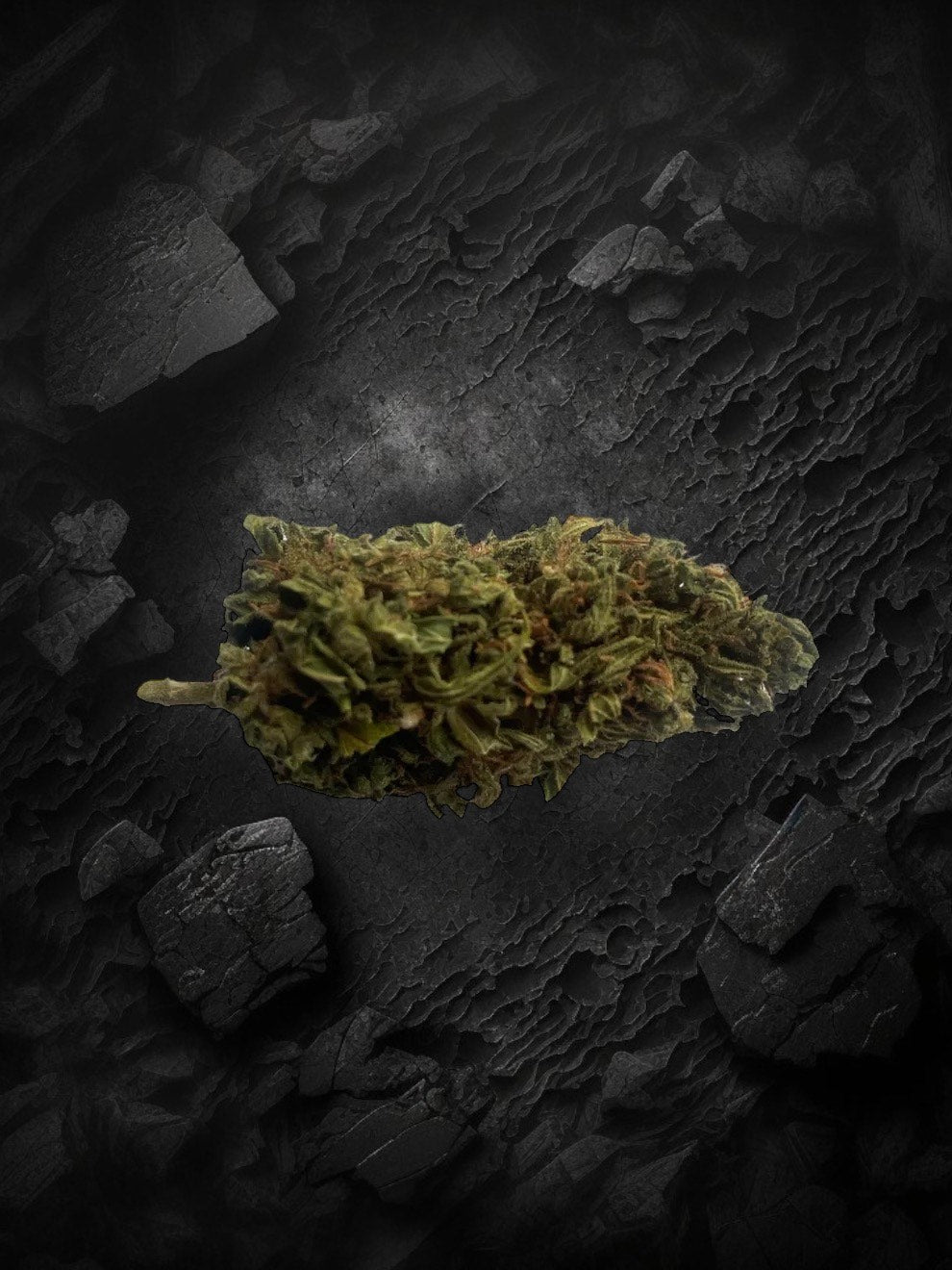 Fleur de CBD : Confolentaise