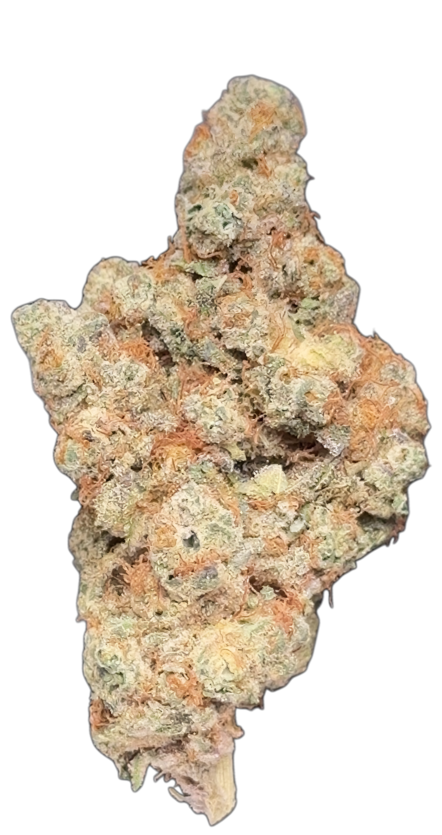 6G White cheddar