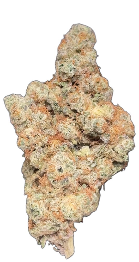 6G White Cheddar