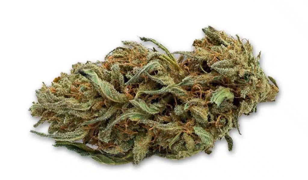 Super lemon haze